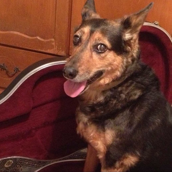 Thank you for the last five years! - Picture 6 of 16